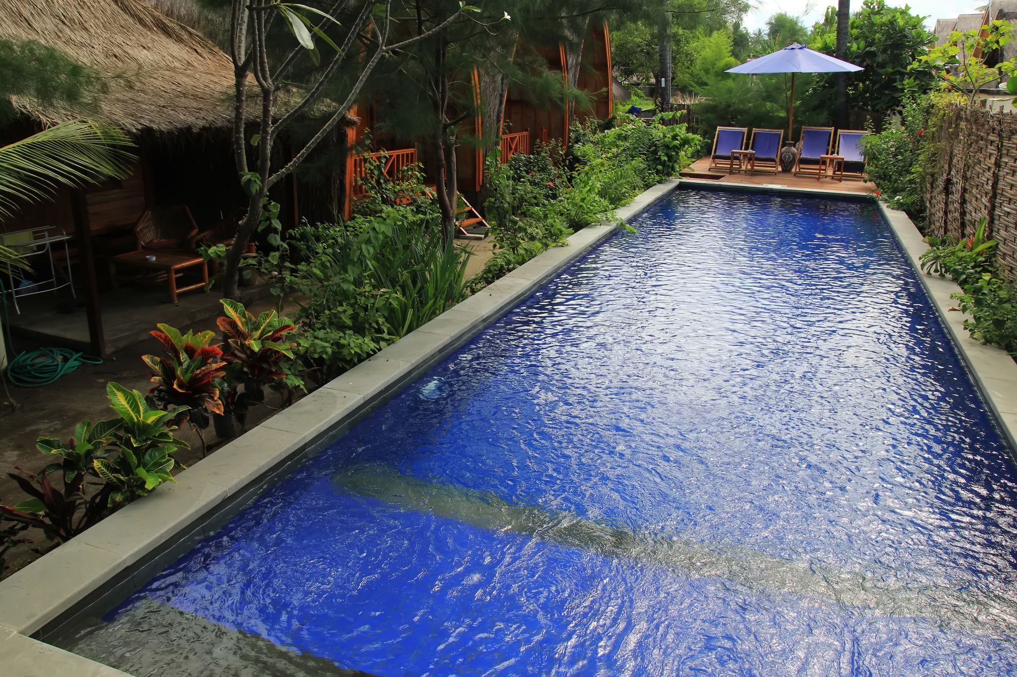 Damai Bungalows Гили Еър Екстериор снимка
